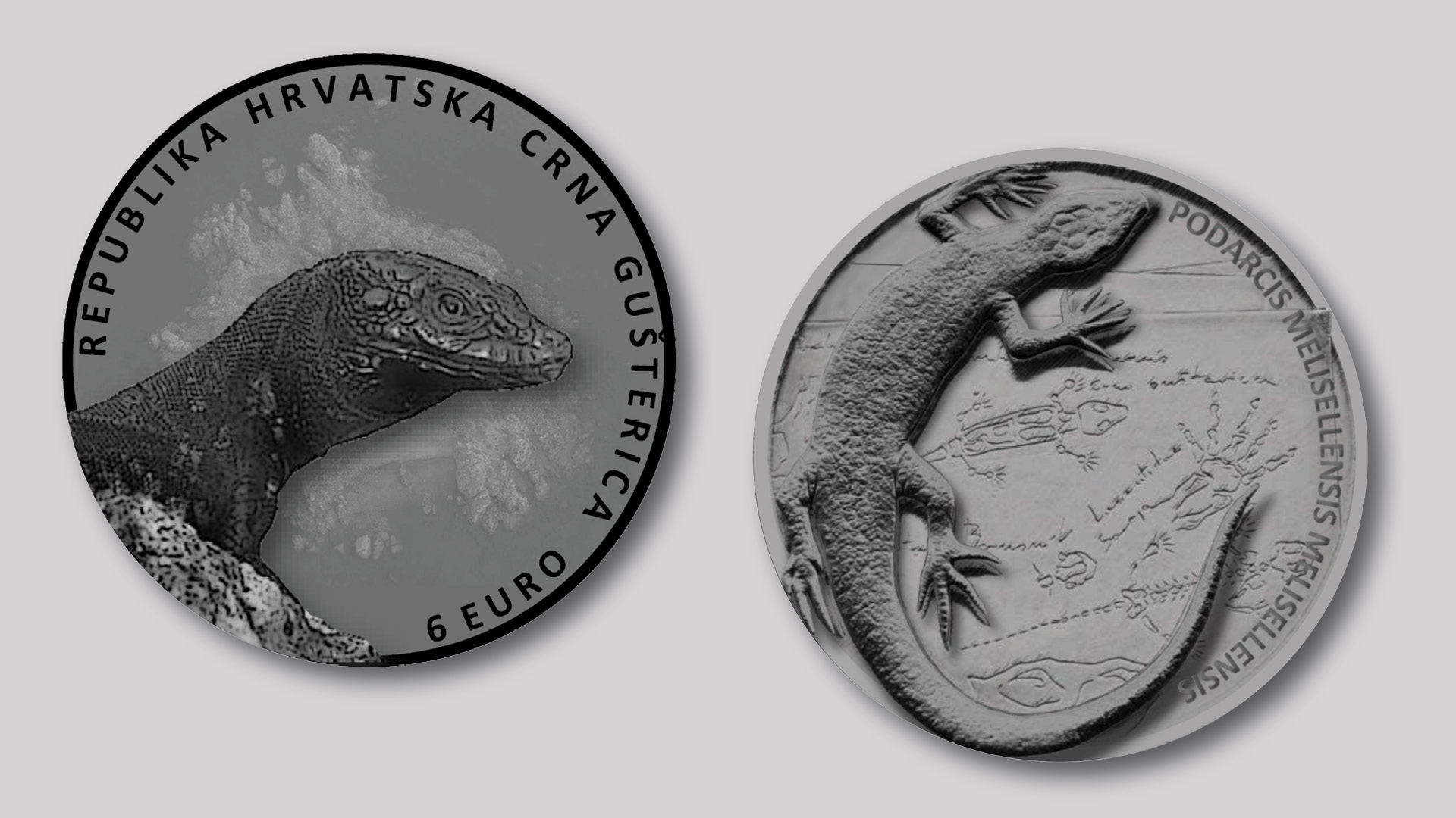 Numizmatička kovanica 