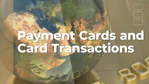 Payment Cards and Card Transactions – 2024