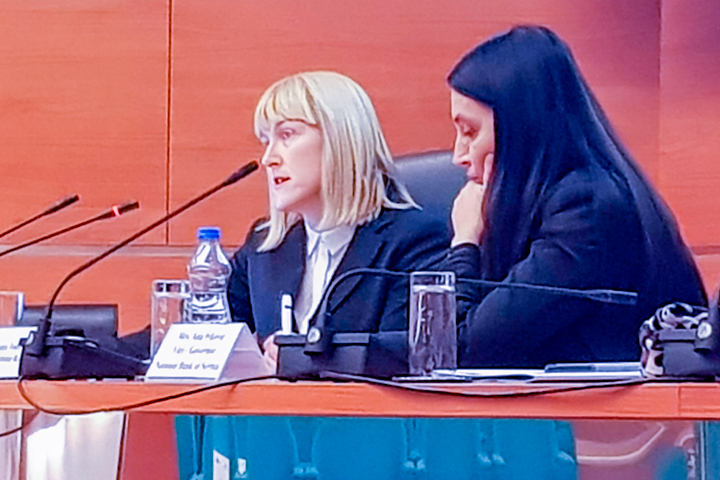 Successful completion of the twinning project for the National Bank of Serbia Successful completion of the twinning project for the National Bank of Serbia